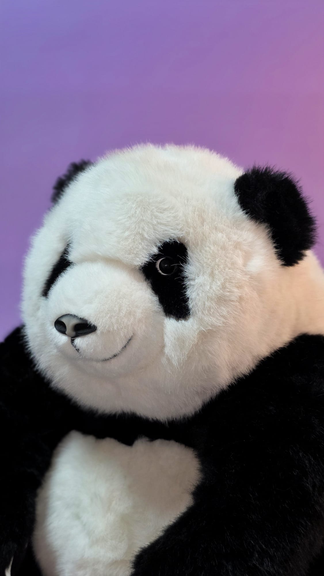 Kodi panda od blizu